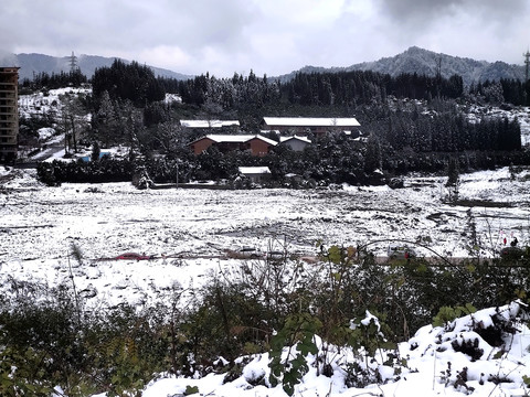 雪地景色