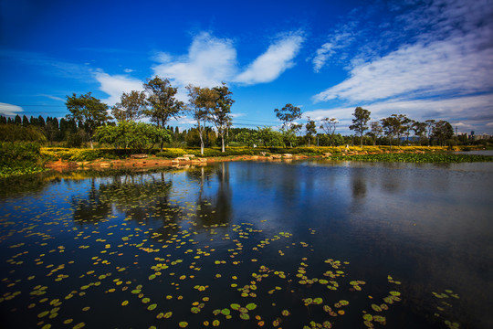 滇池湿地公园