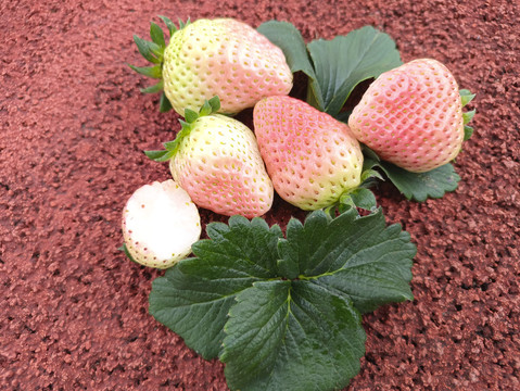 多颗白草莓