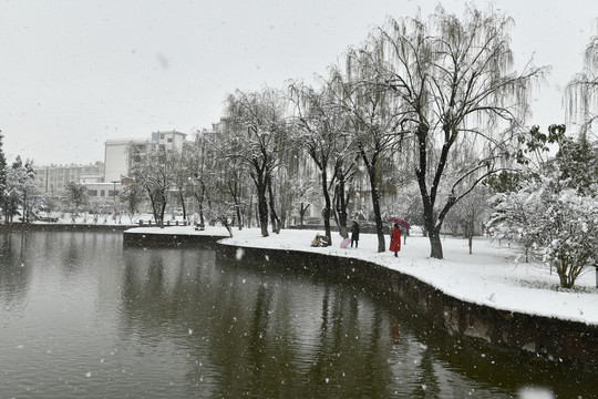 赏雪