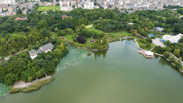龙湖公园风景