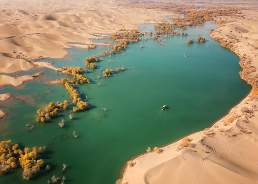 新疆塔里木盆地沙漠胡杨林