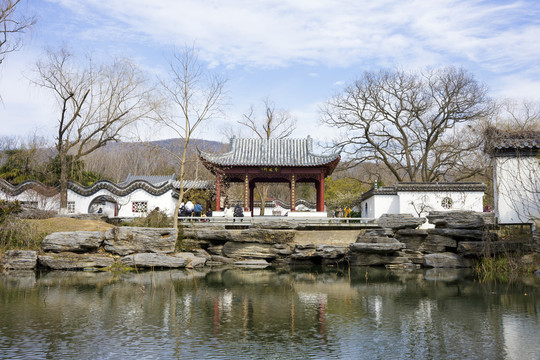 南京明孝陵梅花山景区