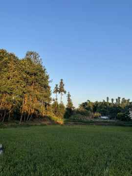 乡村小镇美景