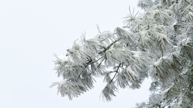 梁王山雪景