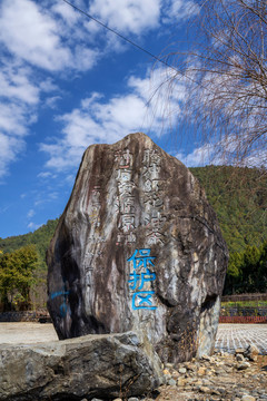 云南腾冲红花油茶和睦村