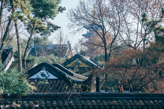 夜泊枫桥寒山寺