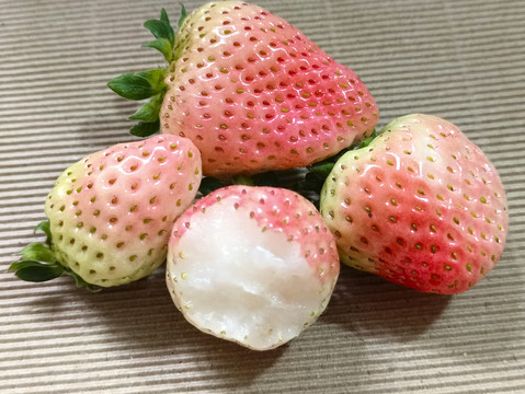 淡雪鲜草莓静物