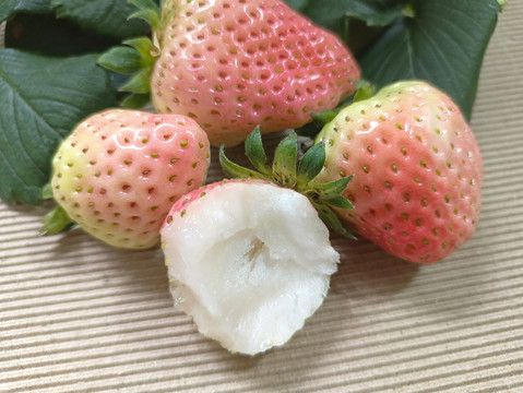 淡雪新鲜草莓