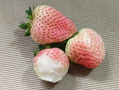 多颗淡雪鲜草莓