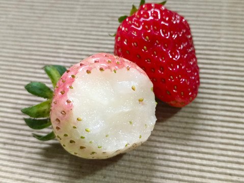 拍摄淡雪鲜草莓