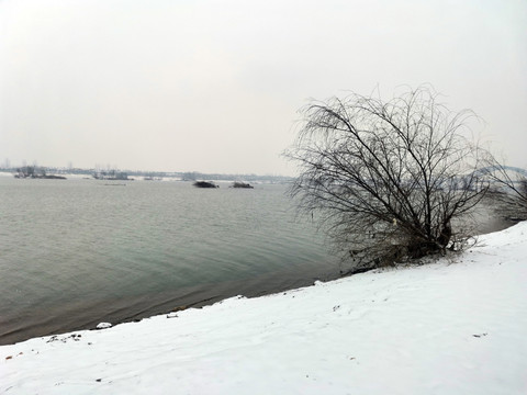 洛河岸边雪景
