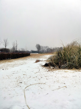 公园雪景