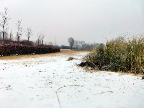公园雪景