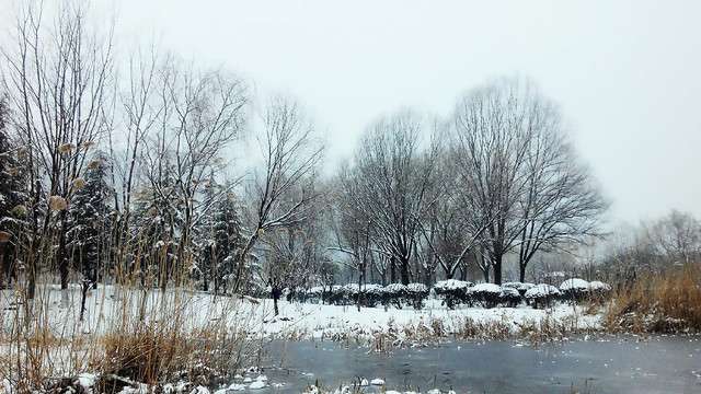 公园雪景