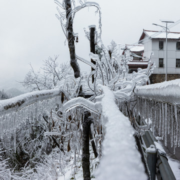 雪景