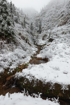 雪景