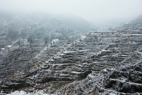 雪景