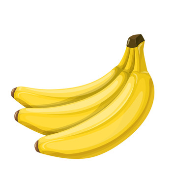 热带香蕉插图