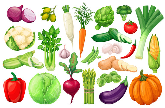 健康营养蔬菜彩绘插图