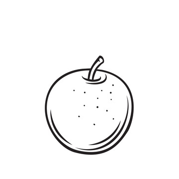 黑白青苹果插图