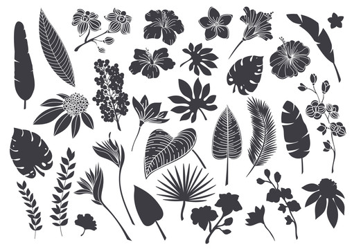 黑色热带植物轮廓插图