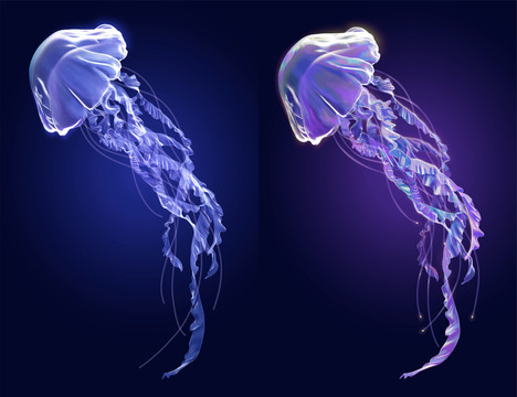 三维透明梦幻飘逸水母 蓝色与紫色荧光色调