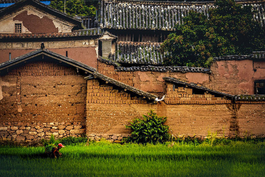 土坯房