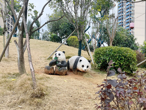 小区里面的熊猫