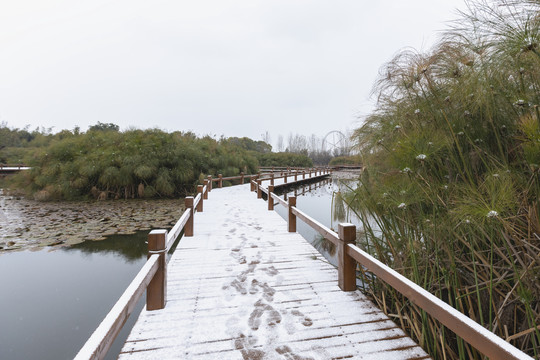 积雪休闲步道荷塘