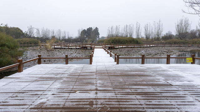 积雪休闲步道荷塘