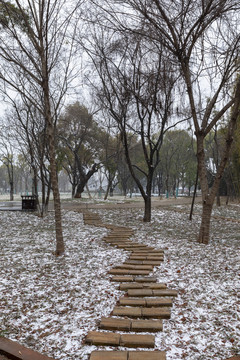 积雪树林步道