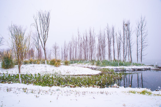 冬季风景