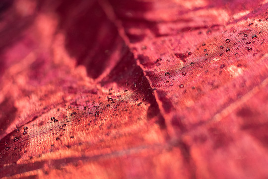 纹理素材透明纱纤维纺织品