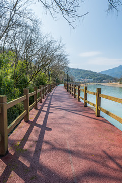 泽雅龙溪湿地公园健走步道