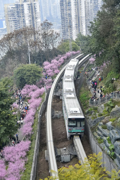 开往春天的列车轨道交通2号