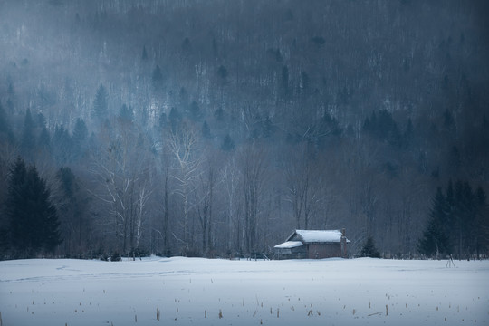 雪村