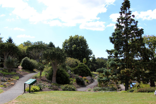 新西兰独树山公园