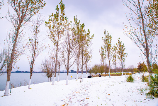 昆明湿地雪景