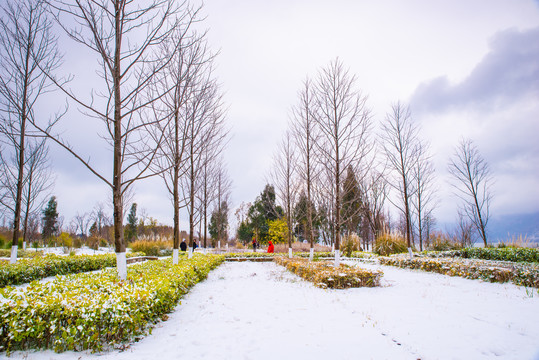 昆明湿地雪景