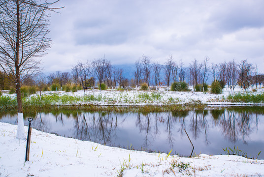 昆明湿地雪景