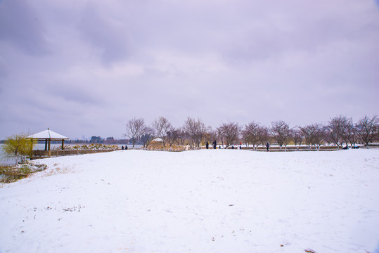 昆明雪景