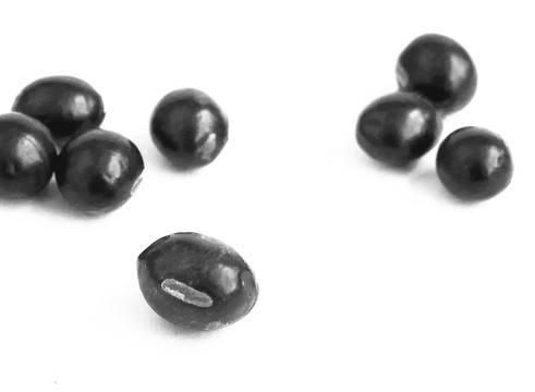 黑豆粒