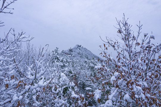 苏州大阳山雪景