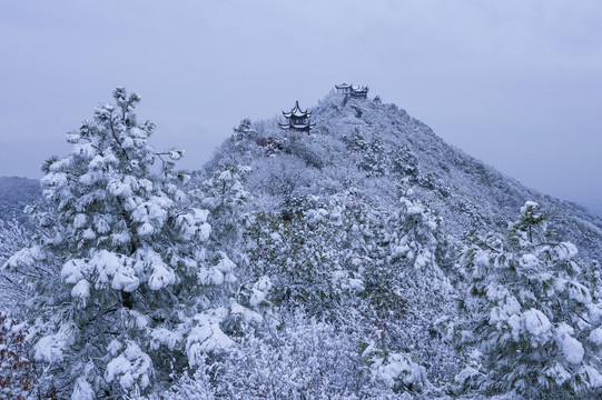 苏州大阳山雪景