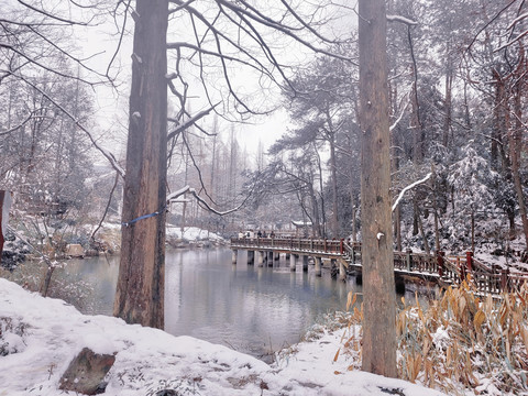 雪景