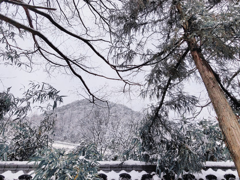 雪景