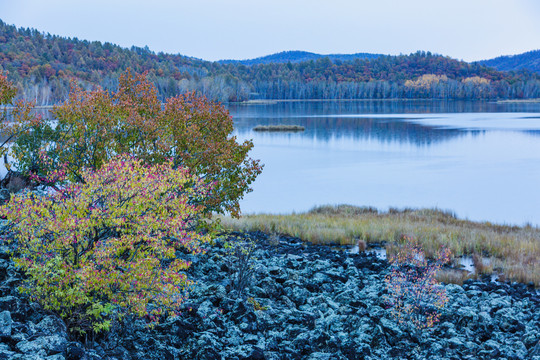 森林湖泊秋季火山熔岩