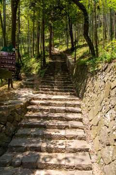 杭州莫干山旅游景区石台阶