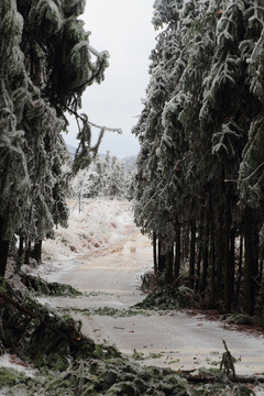 雪景